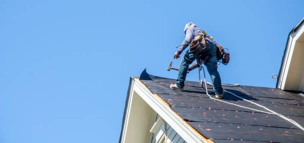 Roof Gutter Cleaning in Smiths Station, AL